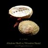 Abalone Shells With Wooden Stands For Incense Smudging, Burning Rituals, Offering Bowls