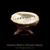 Abalone Shells With Wooden Stands For Incense Smudging, Burning Rituals, Offering Bowls