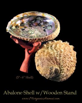 Large Abalone Shells With Wooden Stands For Incense Burning, Smudging Rituals, Offerings, Display Bowls
