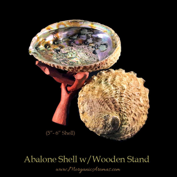 Large Abalone Shells With Wooden Stands For Incense Burning, Smudging Rituals, Offerings, Display Bowls