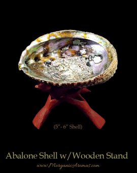 Large Abalone Shells With Wooden Stands For Charcoal Incense Burning, Smudging Rituals, Offerings Bowls