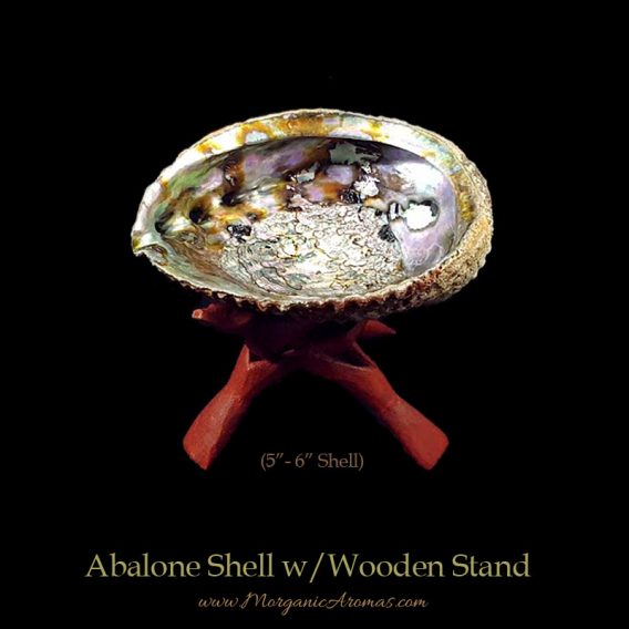 Large Abalone Shells With Wooden Stands For Charcoal Incense Burning, Smudging Rituals, Offerings Bowls