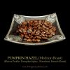 Pumpkin Hazel, Medium Roast, Pumpkin Spice, Hazelnuts, French Roast, Flavored Coffee