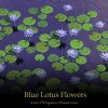 Blue Lotus Flowers - SpecialTeas