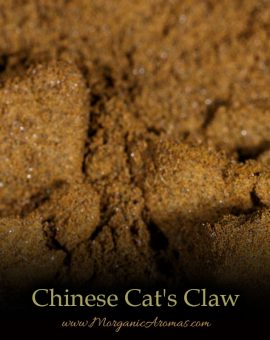 Chinese Cat's Claw (Uncaria rhynchophylla) - SpecialTeas