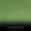 Holy Basil aka Tulsi - SpecialTeas