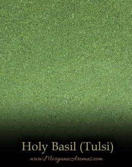 Holy Basil aka Tulsi - SpecialTeas