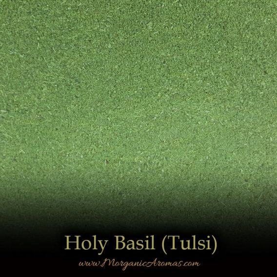 Holy Basil aka Tulsi - SpecialTeas