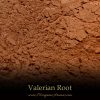 Valerian (Valeriana Officinalis) - SpecialTeas